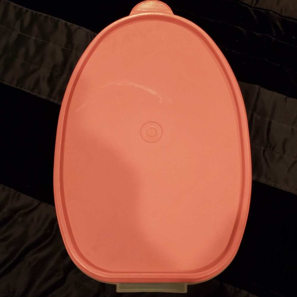 Tupperware Ham/Turkey/Roast Flavor Saver